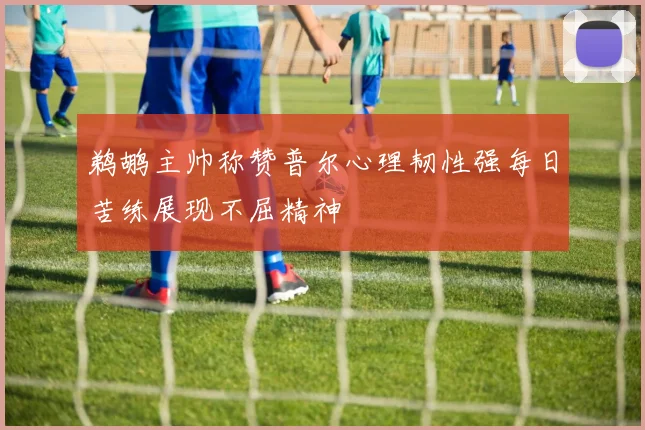 鹈鹕主帅称赞普尔心理韧性强每日苦练展现不屈精神