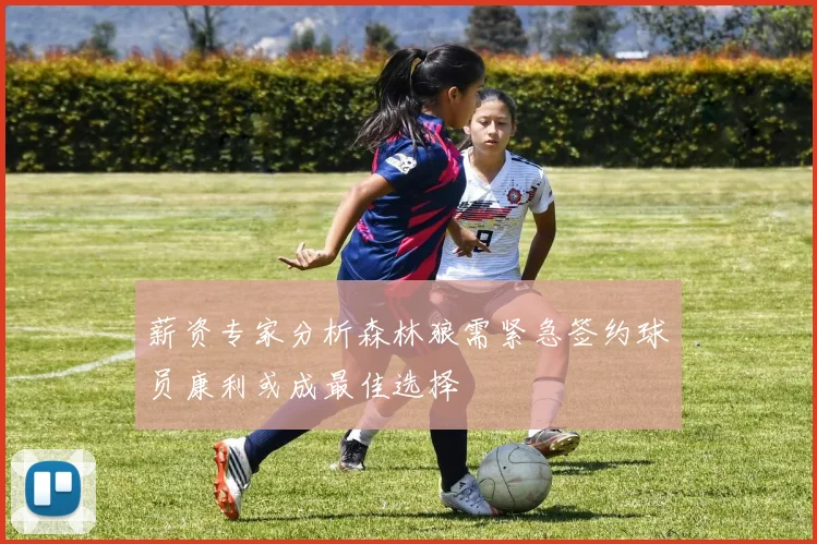 薪资专家分析森林狼需紧急签约球员康利或成最佳选择