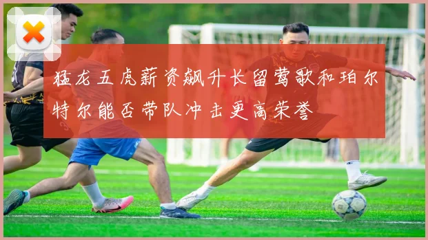 猛龙五虎薪资飙升长留莺歌和珀尔特尔能否带队冲击更高荣誉
